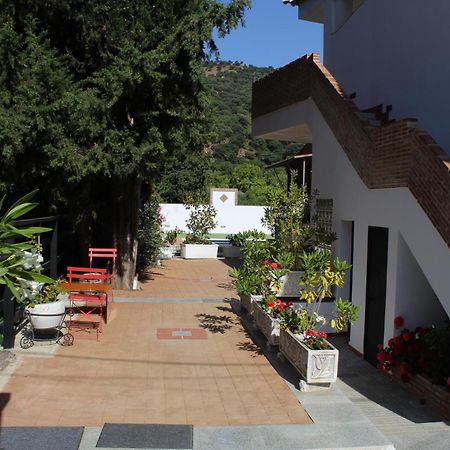 Apartamento Guadiaro 3 Ainhoa 贝纳奥亚恩 外观 照片