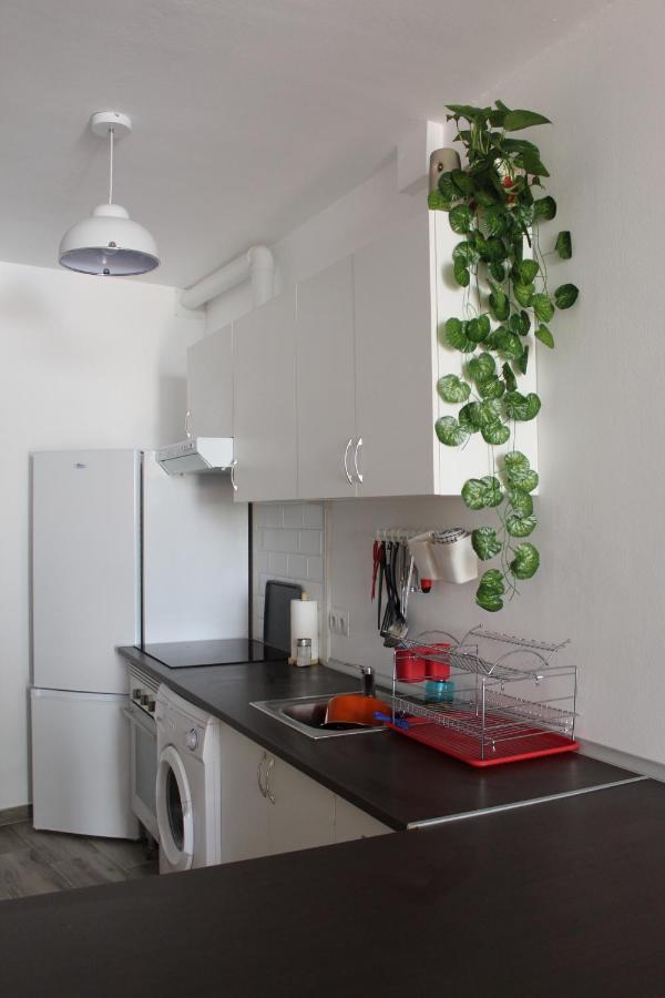 Apartamento Guadiaro 3 Ainhoa 贝纳奥亚恩 外观 照片